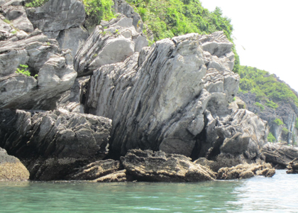 Quần[-]đảo[-]Cát[-]Bà[-]có[-]vẻ[-]đẹp[-]nên[-]thơ[-]và[-]đa[-]dạng[-]sinh[-]học.